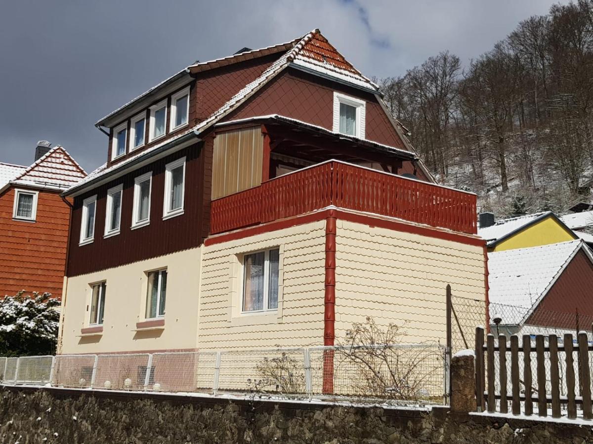 Haus Am Fluss Mit Wunderschoener Dachterrasse Mit Flussblick ,Garten Und Grill Zorge Bagian luar foto