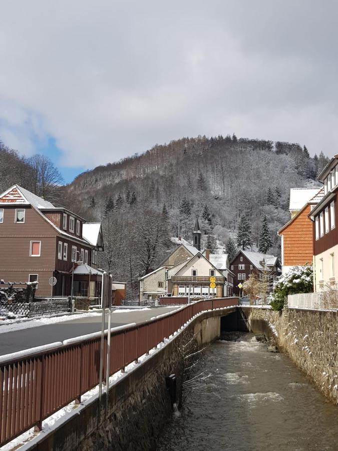 Haus Am Fluss Mit Wunderschoener Dachterrasse Mit Flussblick ,Garten Und Grill Zorge Bagian luar foto