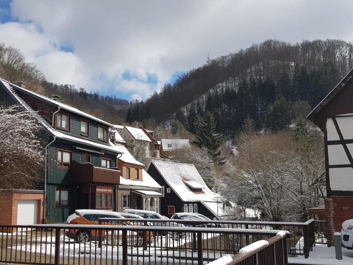 Haus Am Fluss Mit Wunderschoener Dachterrasse Mit Flussblick ,Garten Und Grill Zorge Bagian luar foto