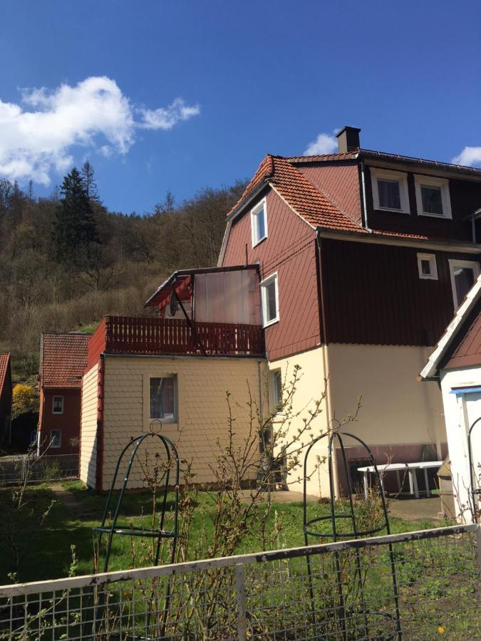 Haus Am Fluss Mit Wunderschoener Dachterrasse Mit Flussblick ,Garten Und Grill Zorge Bagian luar foto