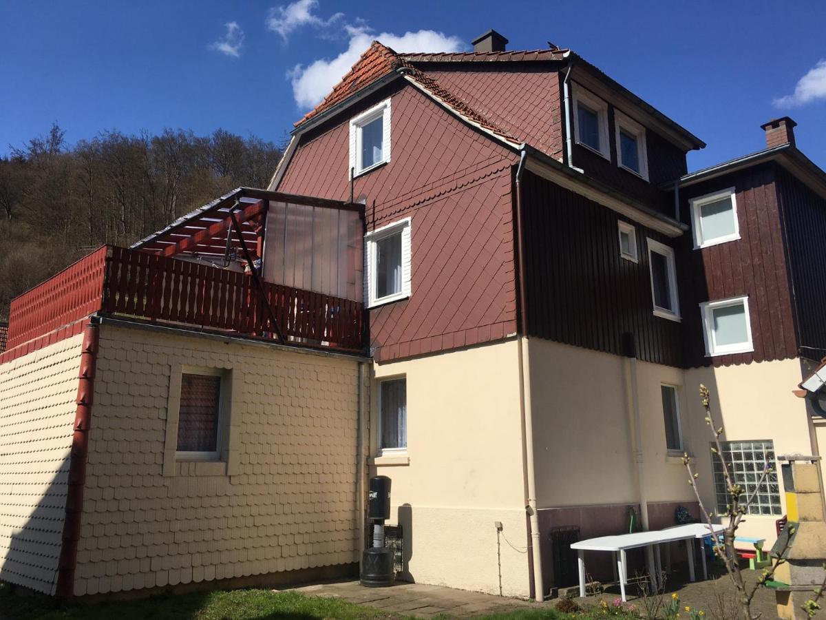 Haus Am Fluss Mit Wunderschoener Dachterrasse Mit Flussblick ,Garten Und Grill Zorge Bagian luar foto