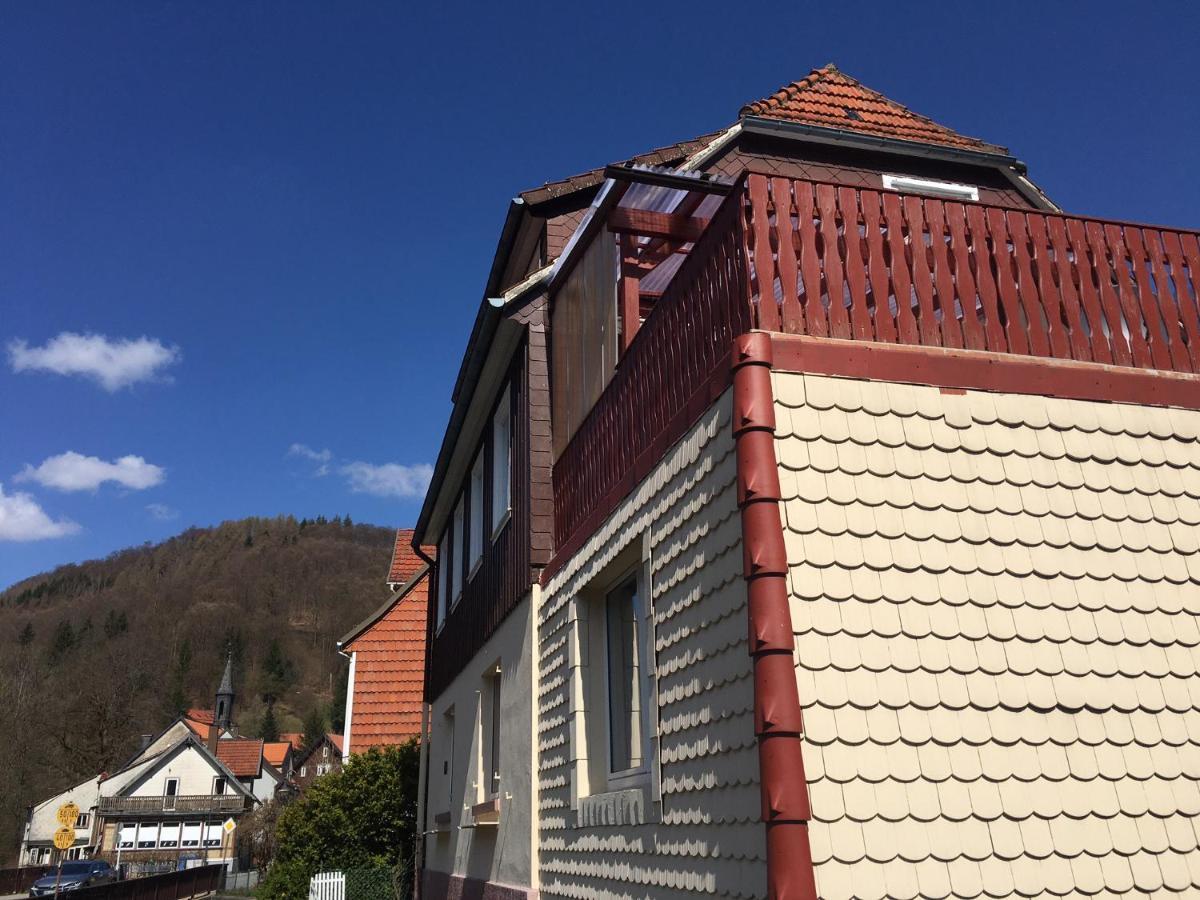 Haus Am Fluss Mit Wunderschoener Dachterrasse Mit Flussblick ,Garten Und Grill Zorge Bagian luar foto